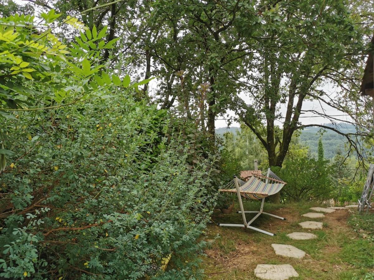Chambre Chez L'Habitant A La Campagne Sidobre Burlats Екстериор снимка